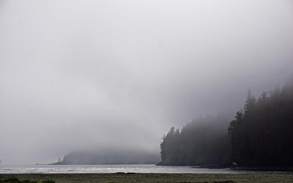 The Bamfield Motel Salmon Beach 외부 사진