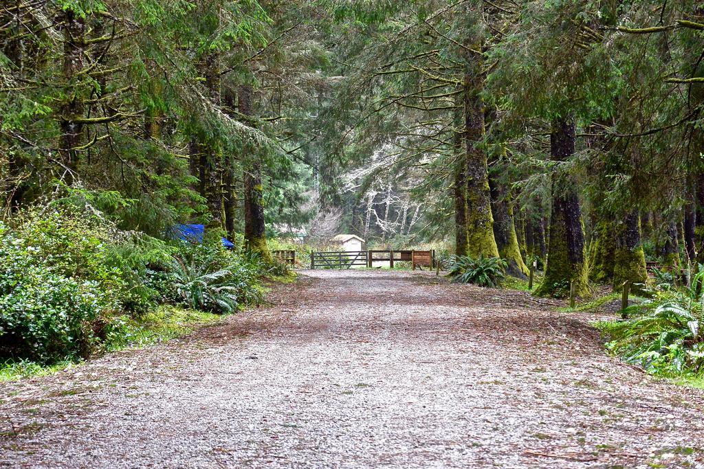 The Bamfield Motel Salmon Beach 외부 사진